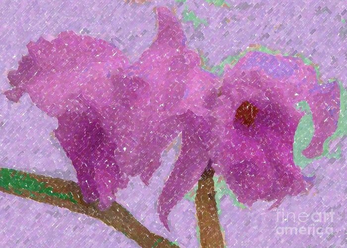 Orchids Greeting Card featuring the photograph Two Hothouse Beauties by Barbie Corbett-Newmin