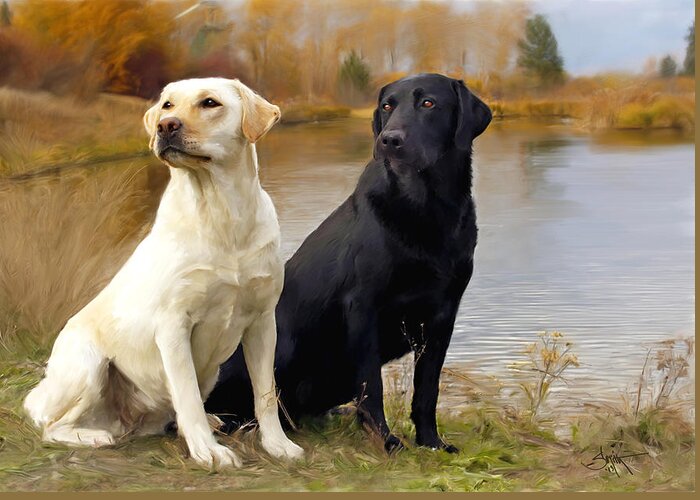 Two Greeting Card featuring the painting Two Labs by Rob Smith's