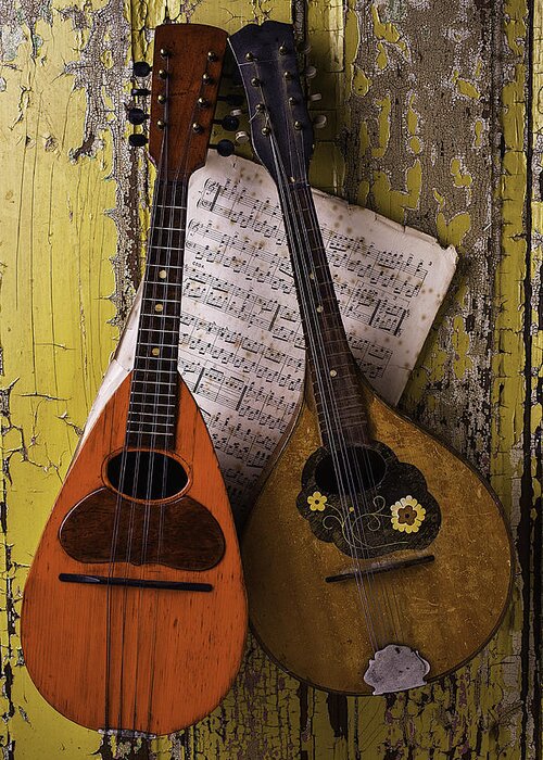 Two Greeting Card featuring the photograph Two Old Mandolins by Garry Gay