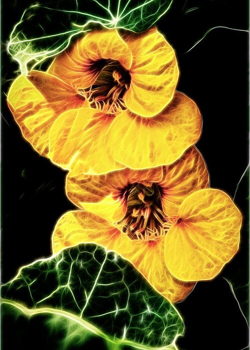 Nasturtium Greeting Card featuring the photograph Two Shy Sisters fractal by Weston Westmoreland
