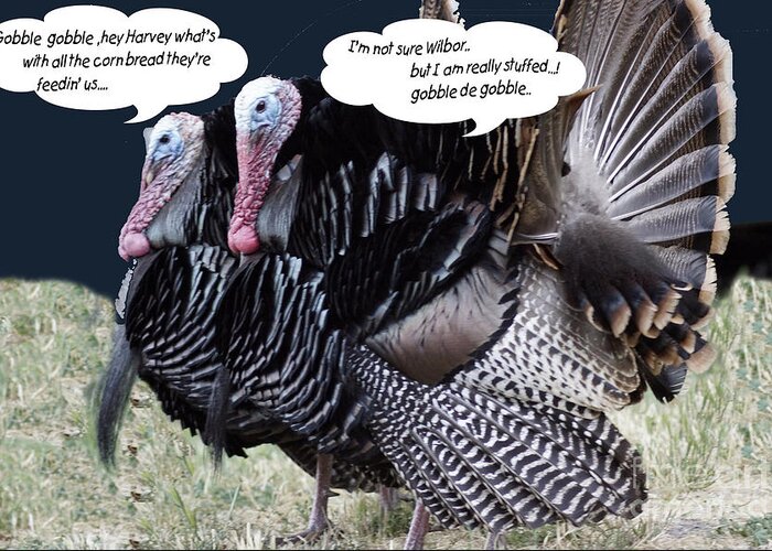 Thanksgiving Greeting Card featuring the photograph Two turkeys talking by Gary Brandes