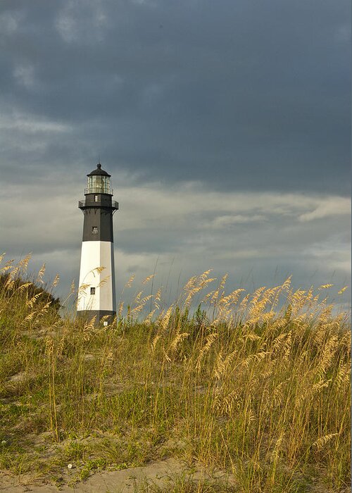 Lighthouse Greeting Card featuring the photograph Tybee First Light II by Carol Erikson