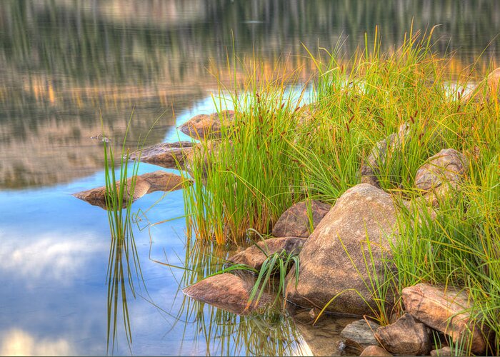 Uinta Greeting Card featuring the photograph Uinta Reflections by Dustin LeFevre