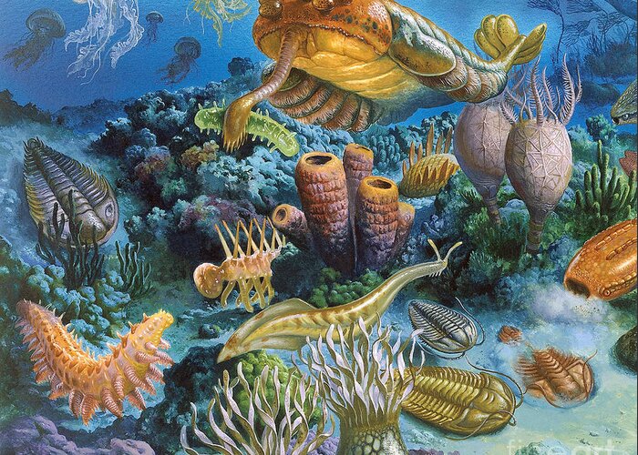 Illustration Greeting Card featuring the photograph Underwater Paleozoic Landscape by Publiphoto