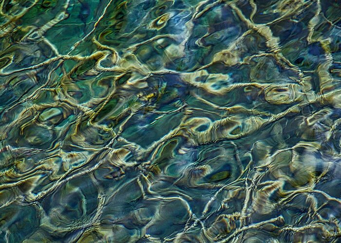 Roots Greeting Card featuring the photograph Underwater Roots by Stuart Litoff