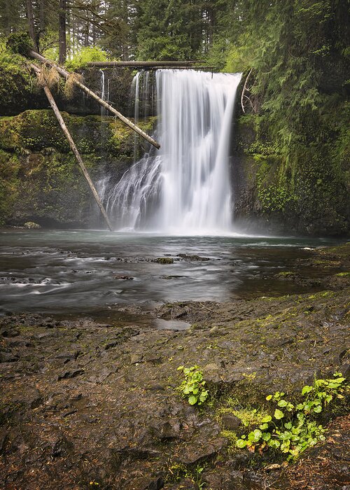 Canon Greeting Card featuring the photograph Upper North Falls by Jon Ares