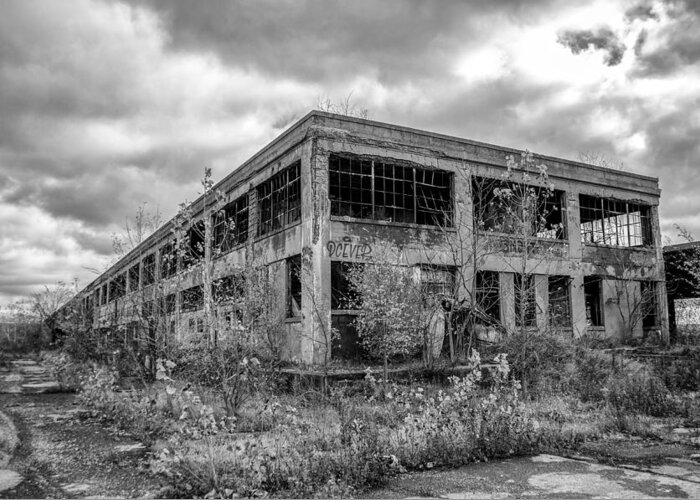 Buffalo Central Terminal Greeting Card featuring the photograph Urban Decay 7D08417 by Guy Whiteley