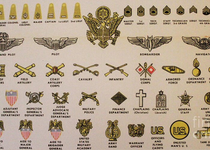 Us Army Insignias Photograph By Steven Parker