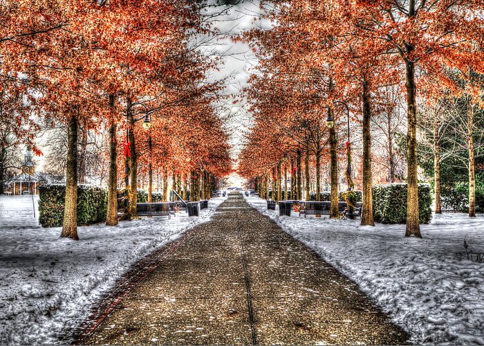 Vander Veer Park Greeting Card featuring the photograph Vander Veer Park by Ray Congrove