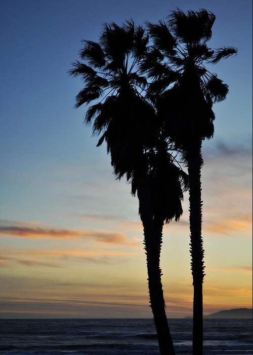 Ventura Greeting Card featuring the photograph Ventura Palm Sunset by Kyle Hanson