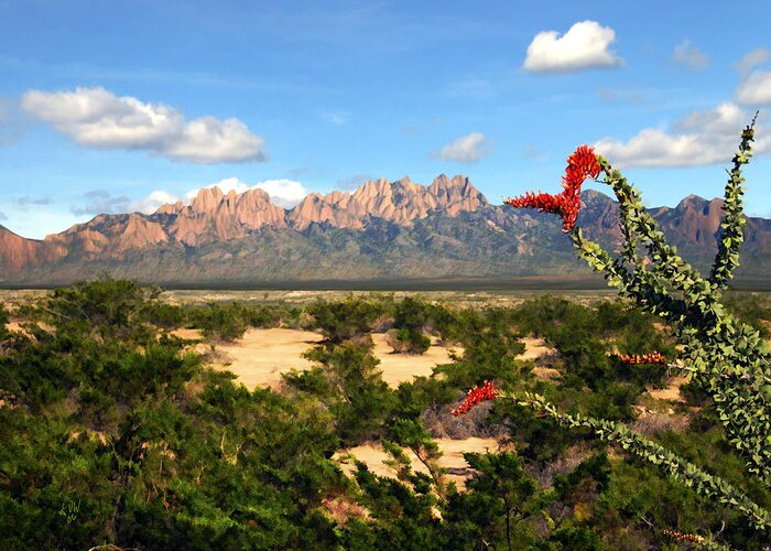 Organ Mountains Greeting Card featuring the photograph View from Roadrunner by Kurt Van Wagner