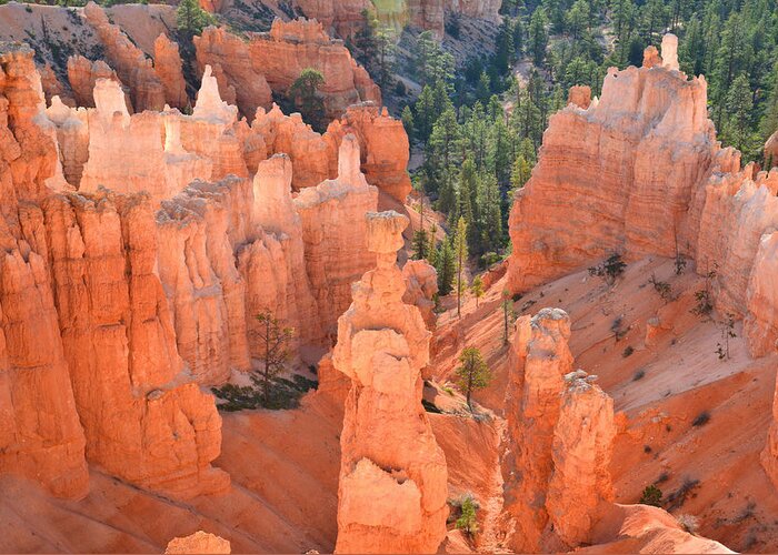Bryce Canyon National Park Greeting Card featuring the photograph View from Sunset Point by Ray Mathis