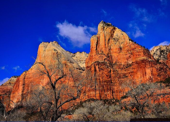 Zion National Park Greeting Card featuring the photograph View from The Grotto by Walt Sterneman