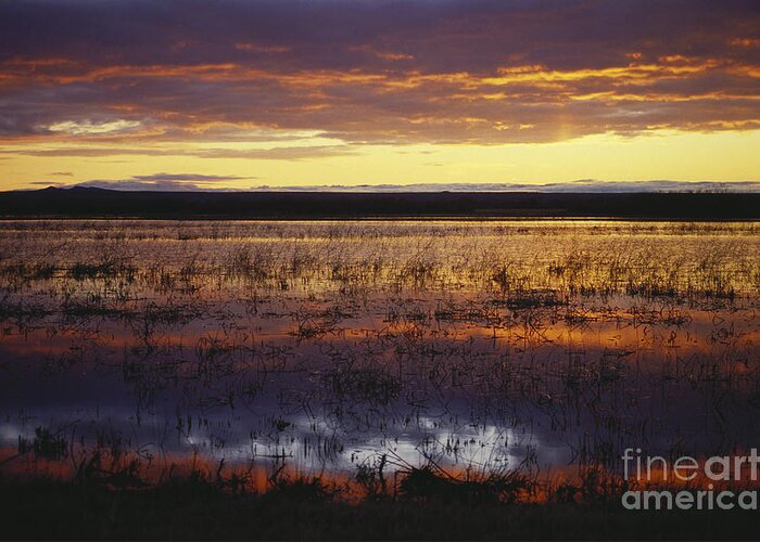 Outdoors Greeting Card featuring the photograph View Of Rio Grande Valley by Art Wolfe