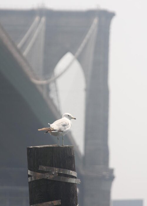 Brooklyn Bridge Greeting Card featuring the photograph View on Brooklyn Bridge by Vadim Levin