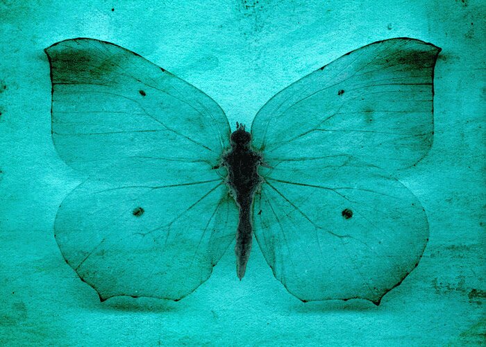 Butterfly Greeting Card featuring the digital art Vintage Grunge Butterfly by Steve Ball