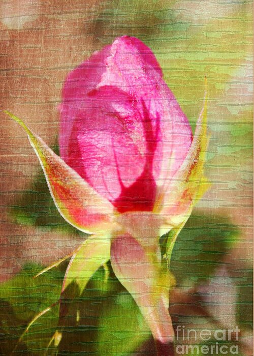 Rose Greeting Card featuring the photograph Vintage Pink Rose Bud by Judy Palkimas