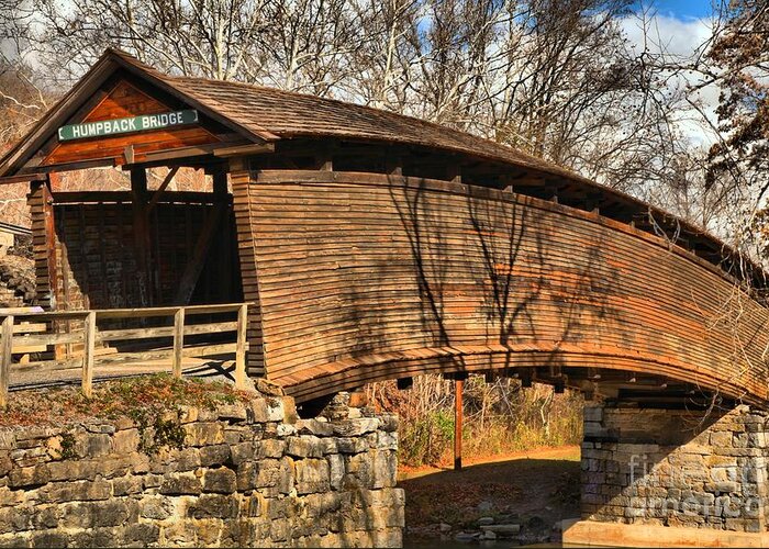 Humpback Covered Bridge Greeting Card featuring the photograph Virginia Humpback Bridge by Adam Jewell