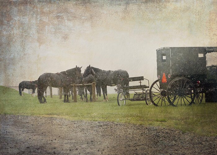 Amish Greeting Card featuring the photograph Waiting in the Rain by Deborah Penland
