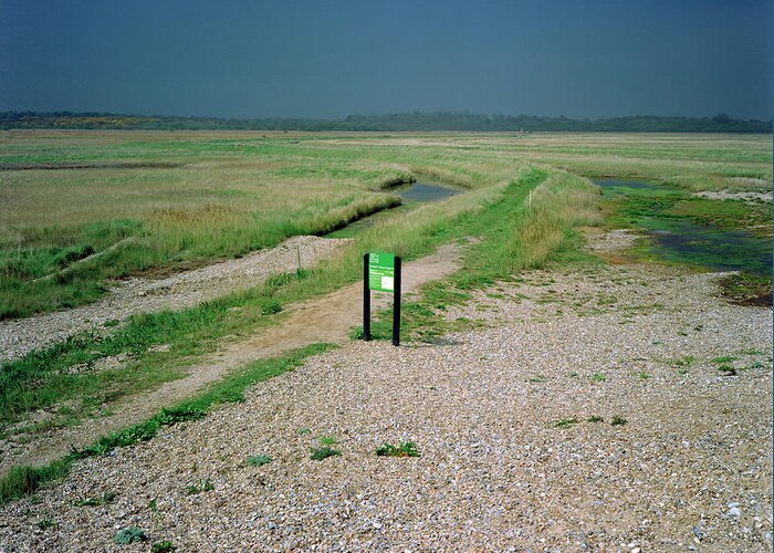 Walberswick Nature Reserve Greeting Card featuring the photograph Walberswick National Nature Reserve by Robert Brook/science Photo Library