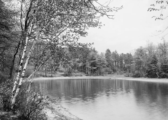 1905 Greeting Card featuring the photograph Walden Pond, C1905 by Granger