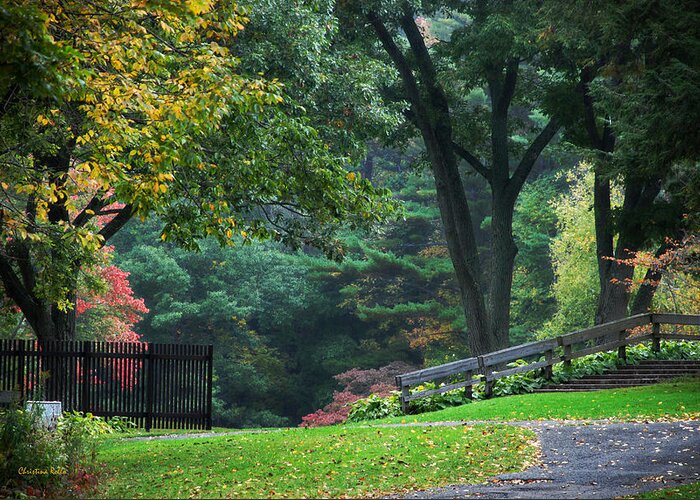 Fall Greeting Card featuring the photograph Walk in the Park by Christina Rollo