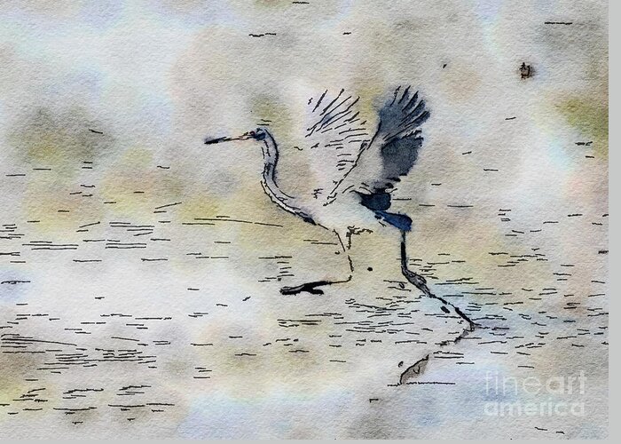 Tricolored Heron Greeting Card featuring the photograph Walking on Water - Tricolored Heron by Kerri Farley
