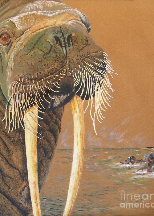 Animal Series Greeting Card featuring the drawing Walrus by Nancy Parsons