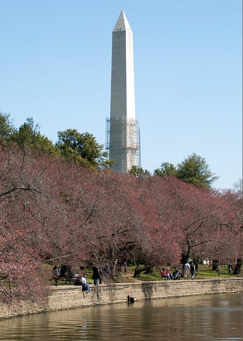 View Greeting Card featuring the photograph Washington Monument reflected in Tidal Basin and surrounded by p by Alex Grichenko