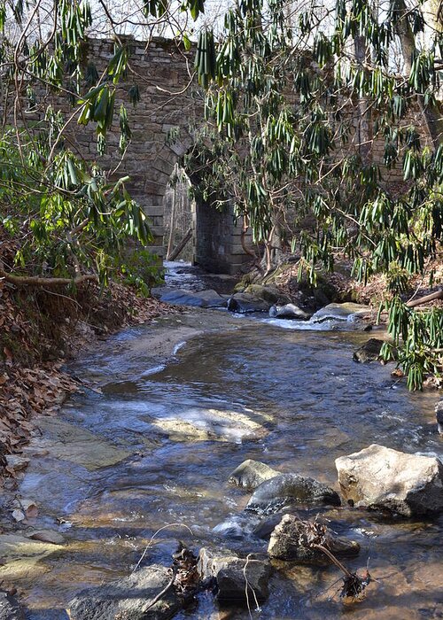 Poinsett Bridge Greeting Card featuring the photograph Water flow to Poinsett by Jeff Bjune 