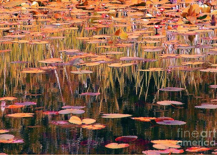 Impressionist Greeting Card featuring the photograph Water Lilies Re Do by Chris Anderson