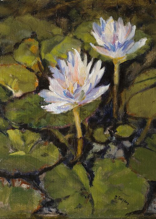 Flowers Greeting Card featuring the painting Water Lilly by Joyce Snyder