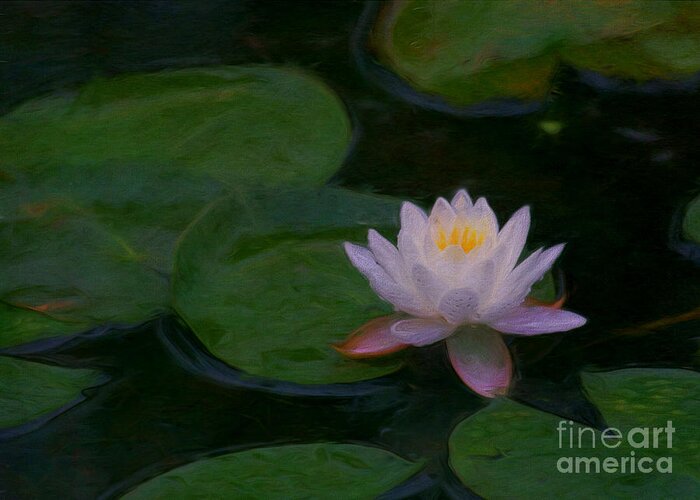 Water Lily Greeting Card featuring the digital art Water Lily Dreams by Jayne Carney