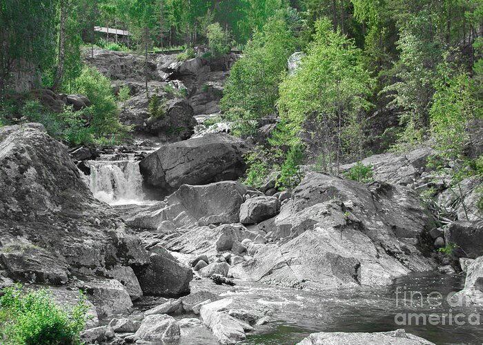 Natural Greeting Card featuring the photograph Water stream with rocks by Amanda Mohler
