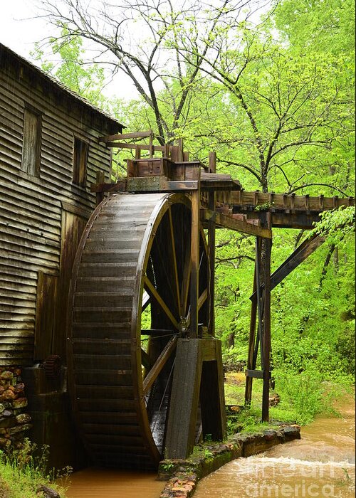Green Greeting Card featuring the photograph Water Wheel by Bob Sample