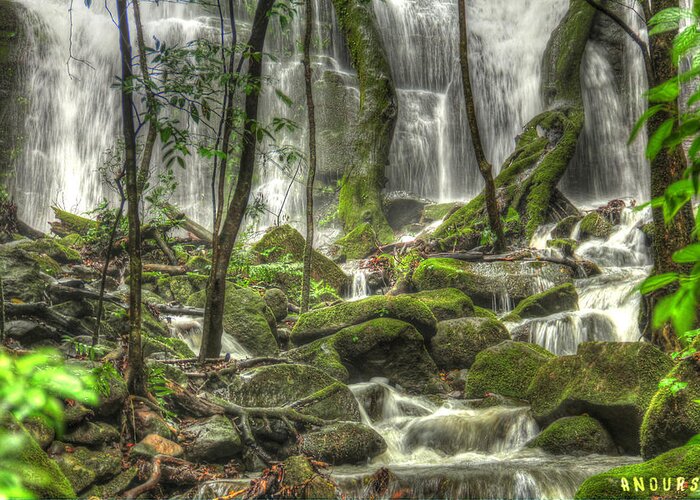 Costa Rica Greeting Card featuring the photograph Waterfall by Andrew Nourse