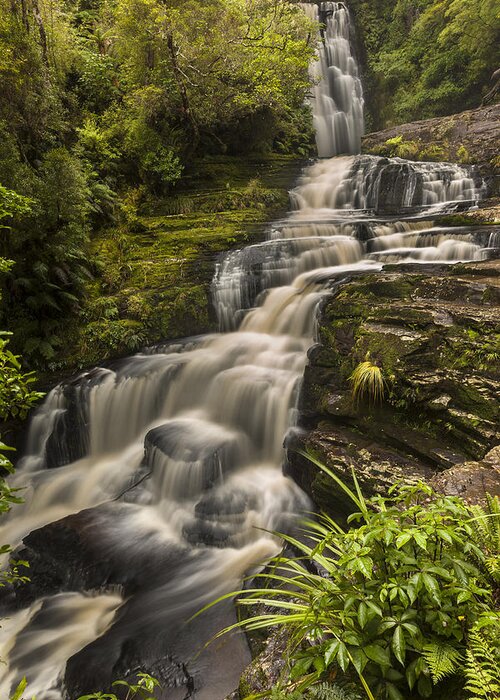 Colin Monteath Greeting Card featuring the photograph Waterfalls After Rain Mcleans Falls by Colin Monteath