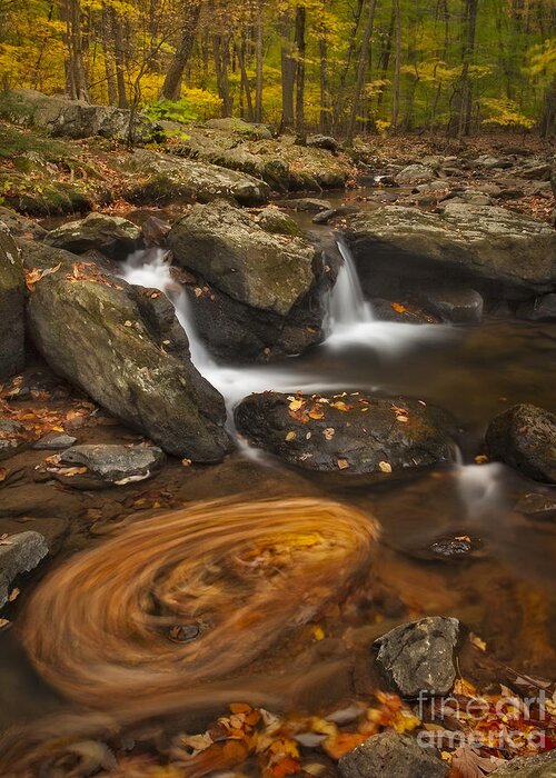 Autumn Greeting Card featuring the photograph Waterfalls and Swirl by Susan Candelario
