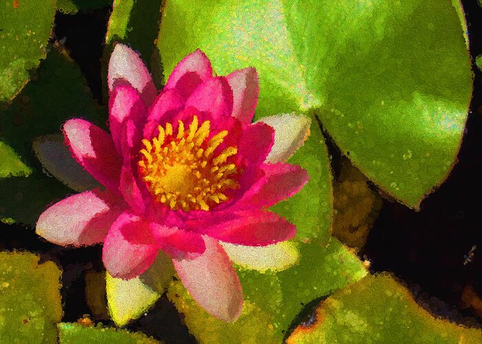 Waterlilly Greeting Card featuring the digital art Waterlily Impression in Fuchsia and Pink by Georgia Mizuleva