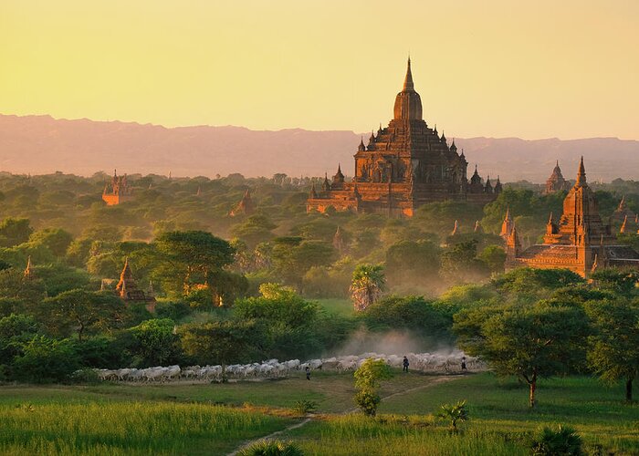 Outdoors Greeting Card featuring the photograph Way Of Life In Bagan by Natapong Supalertsophon