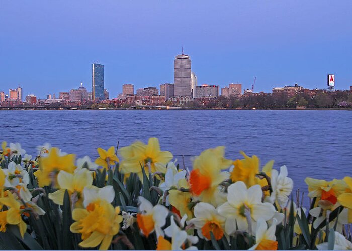 Spring Greeting Card featuring the photograph We are Boston by Juergen Roth