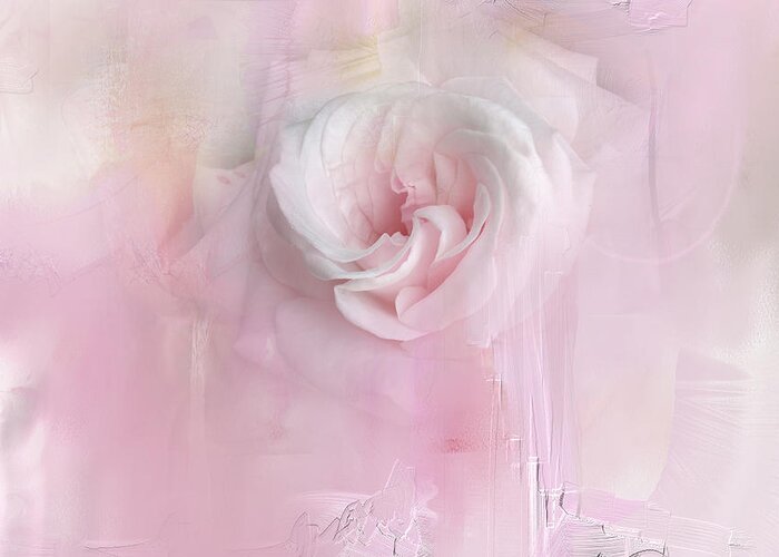 Rose Greeting Card featuring the photograph Weeping Rose by Davina Nicholas