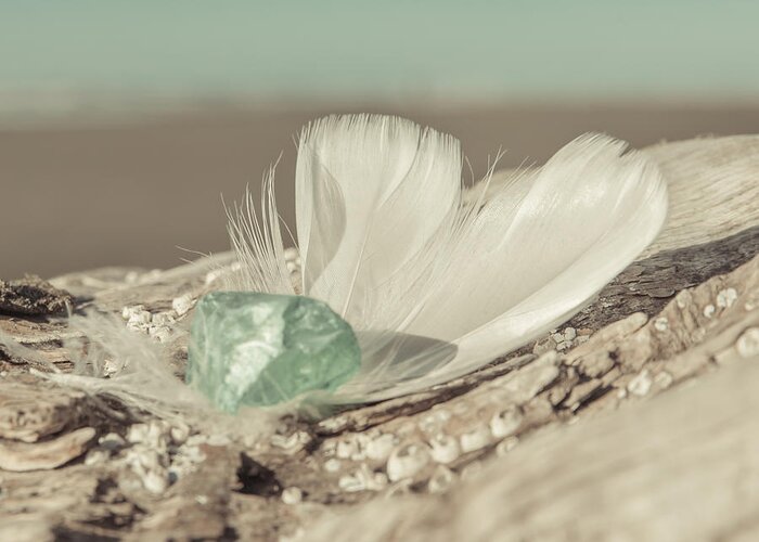 Sea Glass Feathers Photography Print Greeting Card featuring the photograph Weighted Feathers by Lucid Mood