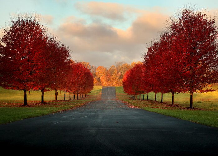 Autumn Greeting Card featuring the photograph Welcome Home by Rob Blair