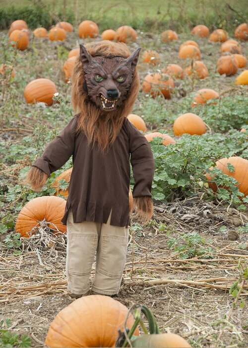 Agribusiness Greeting Card featuring the photograph Werewolf in the Pumpkin Patch by Juli Scalzi