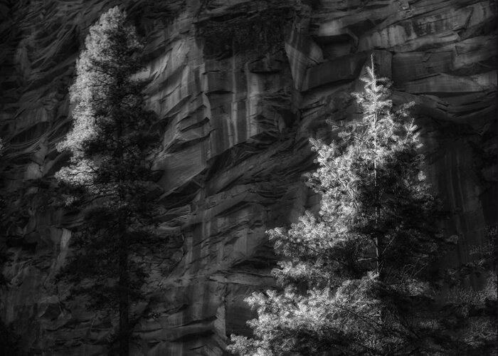 Landscape Greeting Card featuring the photograph West Fork Rock Face Number Three Black and White by Bob Coates