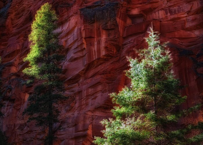 Red Rock Greeting Card featuring the photograph West Fork Rock Face Number Three by Bob Coates