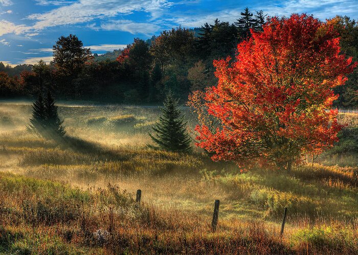 Fall Colors Greeting Card featuring the photograph West Virginia Fall Sunrise I by Dan Carmichael