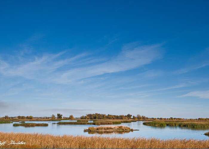 Autumn Greeting Card featuring the photograph Wetland at the Refuge by Jeff Goulden