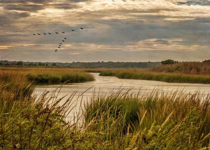 Marsh Greeting Card featuring the photograph Wetlands in September by Cathy Kovarik